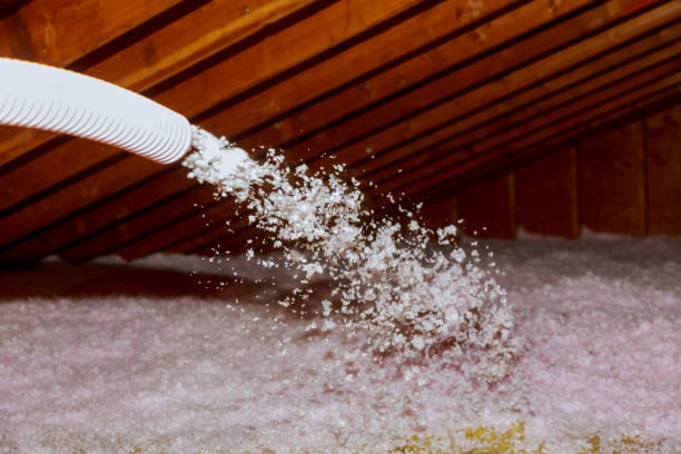 Insulation Repair Services in Bronson, FL