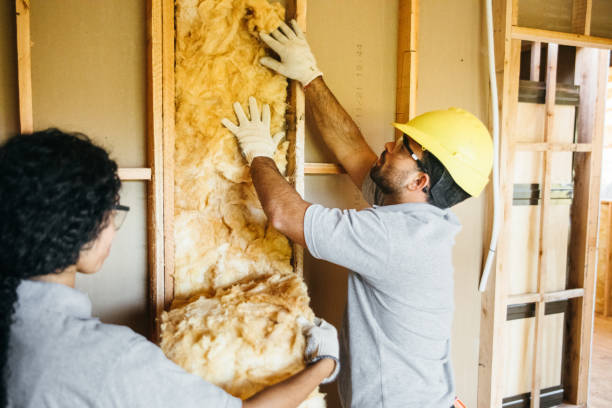 Professional Insulation Contractor in Bronson, FL